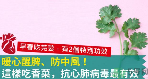 春天吃香菜好嗎？春天吃香菜有什么好處？