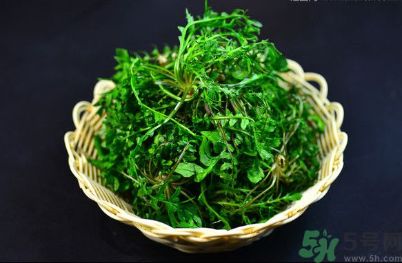薺菜根能吃嗎？薺菜要去根吃嗎？
