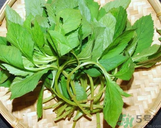薺菜可以泡水喝嗎？薺菜泡水喝有什么好處？