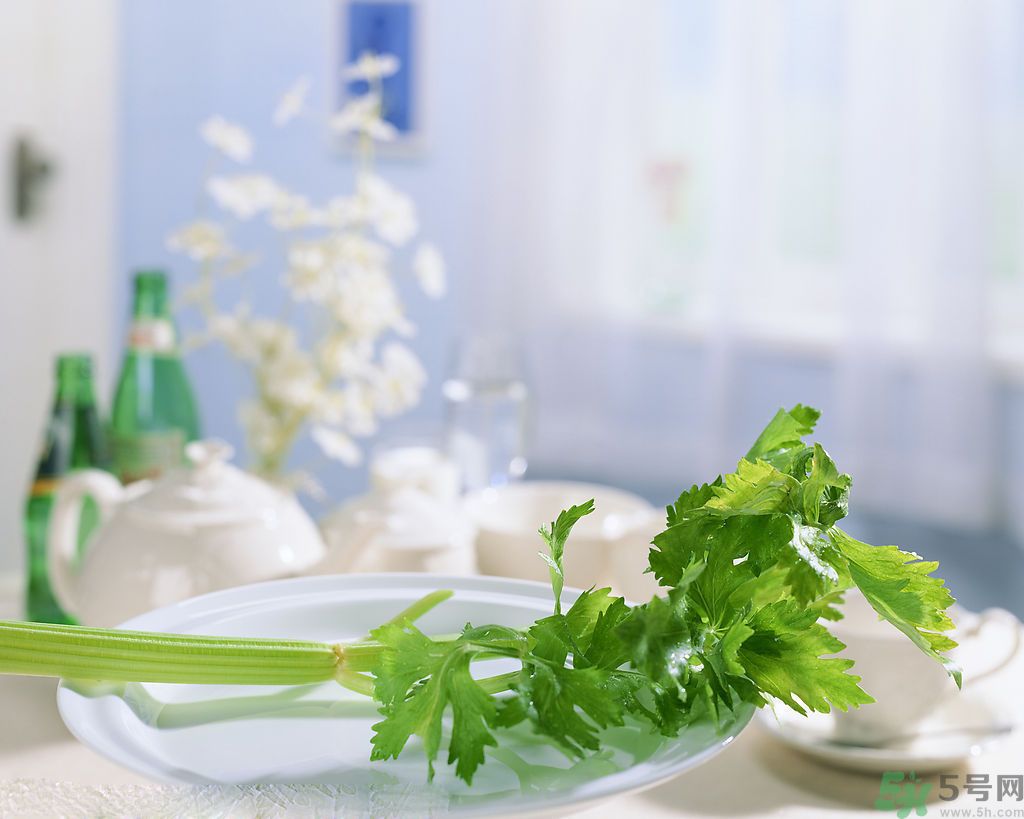 芹菜可以減肥嗎？芹菜有什么功效？