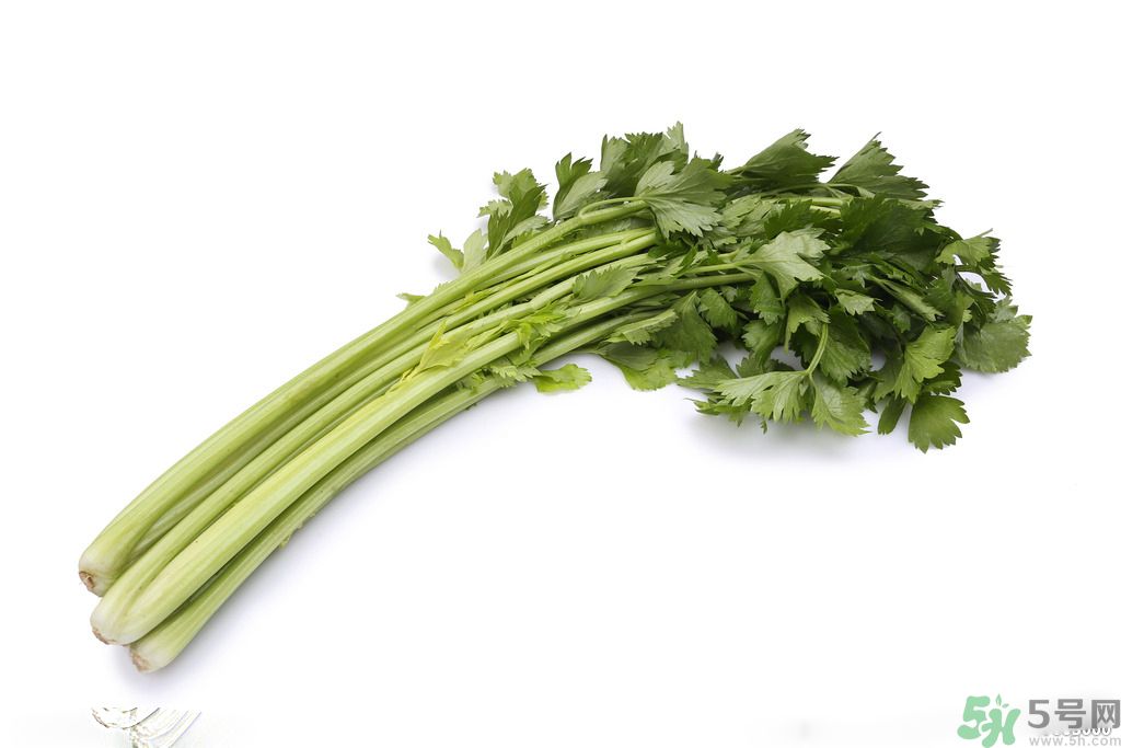 芹菜可以減肥嗎？芹菜有什么功效？