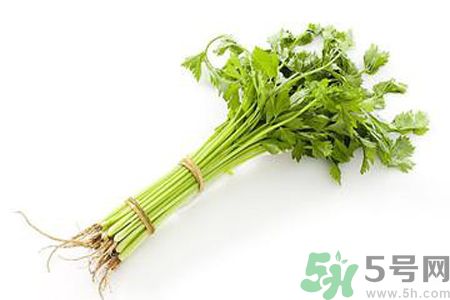芹菜可以減肥嗎？芹菜有什么功效？
