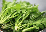 薺菜為什么要焯水？薺菜要用開(kāi)水燙嗎？