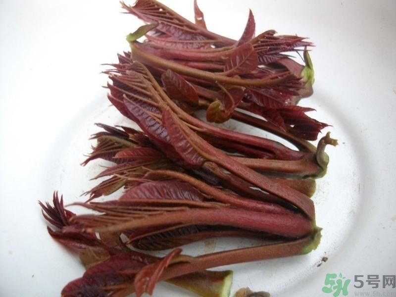 香椿好吃嗎？香椿可以做菜嗎？