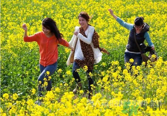 清明節(jié)的習俗有哪些？清明節(jié)吃什么？
