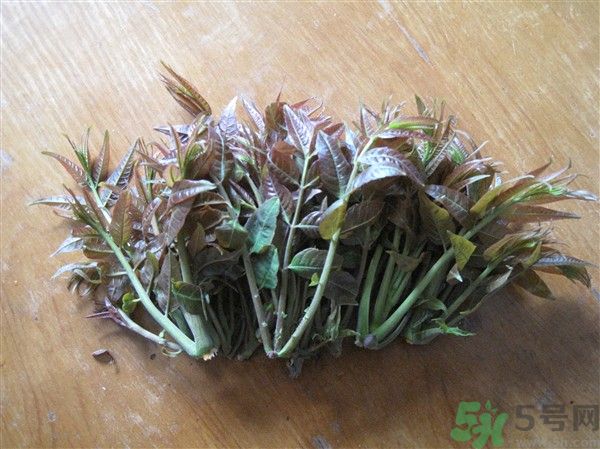香椿怎么吃才安全？吃香椿的最佳時(shí)間是什么時(shí)候？