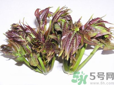 吃香椿有什么好處？香椿可以預防疾病嗎？