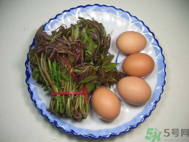 怎么挑選香椿呢？挑選香椿的小竅門？