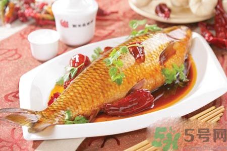 怎么挑選魚？挑魚的技巧有哪些？