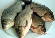 怎么挑選魚？挑魚的技巧有哪些？