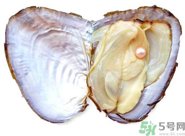 河蚌什么時(shí)候吃最好？吃河蚌有什么好處？