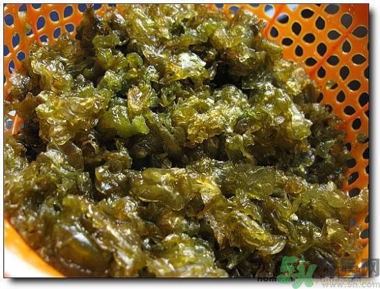地皮菜怎么清洗干凈？怎樣洗地皮菜？