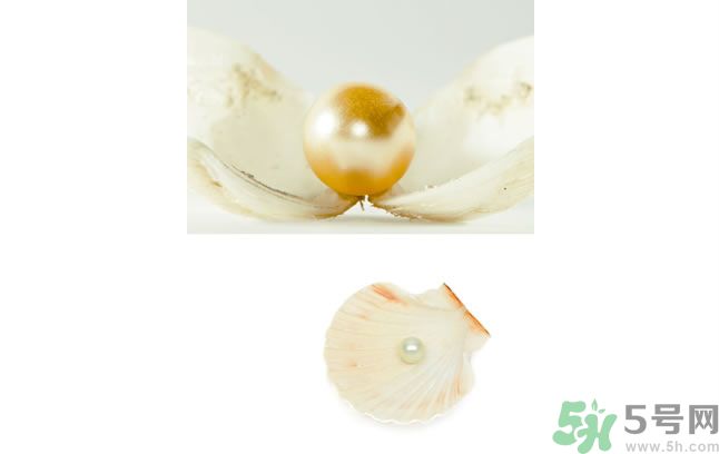 河蚌怎么炒才不會老？炒河蚌要注意什么？