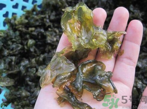 地皮菜孕婦能吃嗎？地皮菜孕婦吃好嗎？
