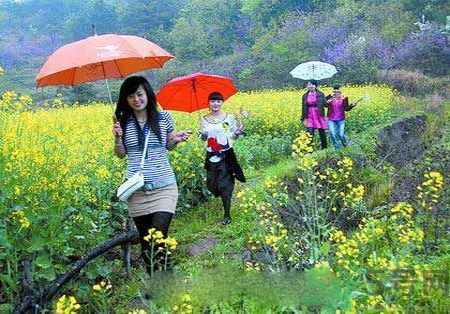 清明節(jié)為什么要踏青？清明節(jié)踏青有什么好處？