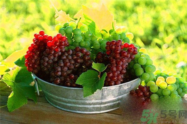 高血脂吃什么水果好？什么水果可以降血脂？