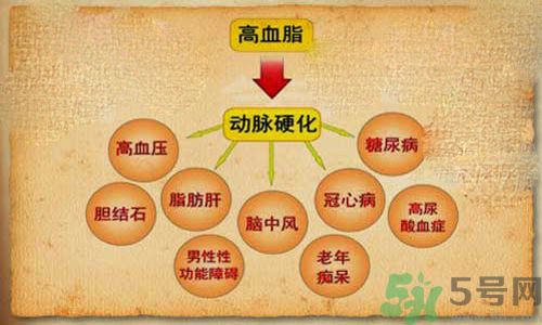 高血脂會(huì)頭暈嗎？高血脂會(huì)引起高血壓嗎？