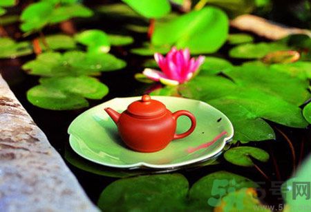 降血脂的茶有哪些？什么茶可以降血脂？
