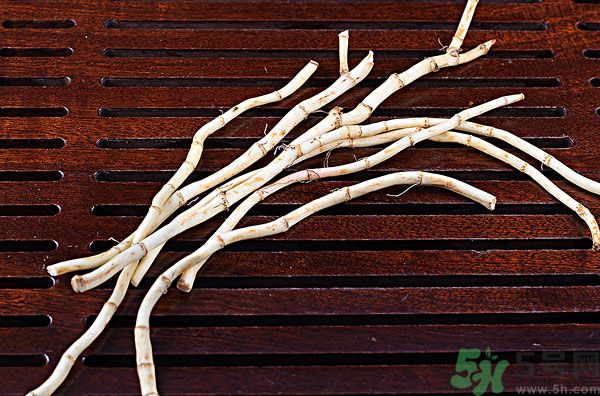 魚腥草能泡水喝嗎？魚腥草泡水喝有什么功效？