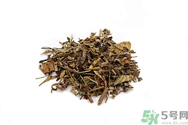 魚腥草能泡水喝嗎？魚腥草泡水喝有什么功效？