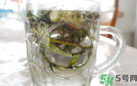 蒲公英可以長期泡水喝嗎?蒲公英長期泡水喝好不好?