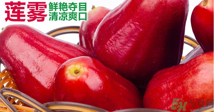 咳嗽能吃蓮霧嗎？蓮霧咳嗽可以吃嗎？