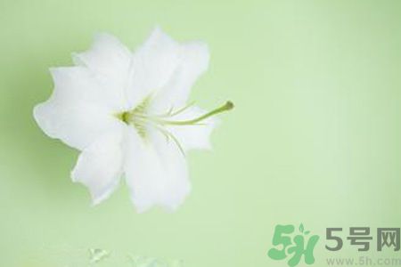 春季咳嗽怎么辦？春季咳嗽吃什么好？