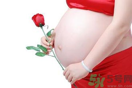 孕婦可以吃枸杞嗎？孕婦吃枸杞好嗎？