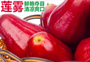咳嗽能吃蓮霧嗎？蓮霧咳嗽可以吃嗎？