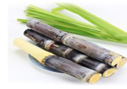 清明節(jié)可以吃甘蔗嗎？清明節(jié)不能吃哪些食物？