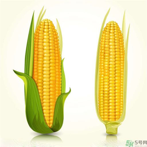 糖尿病可以吃玉米嗎？糖尿病吃玉米好嗎？