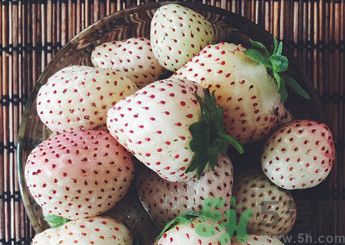 菠蘿莓好吃嗎？菠蘿莓好不好吃？