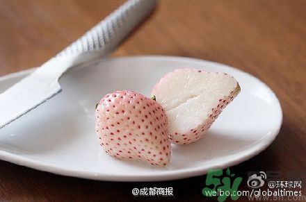 菠蘿莓好吃嗎？菠蘿莓好不好吃？