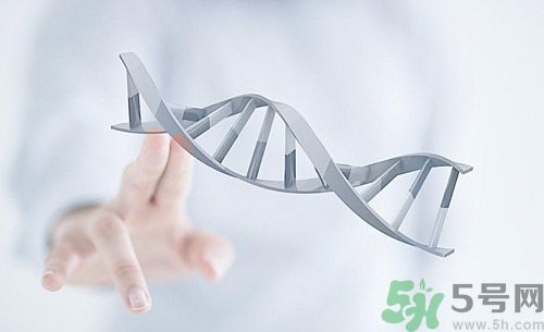 糖尿病會遺傳嗎？糖尿病會遺傳給胎兒嗎？