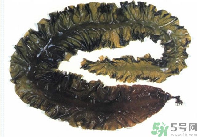 海帶用冷水泡還是熱水泡發(fā)？海帶怎么泡才不會發(fā)硬？