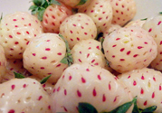 菠蘿莓孕婦能吃嗎？菠蘿莓懷孕可以吃嗎？