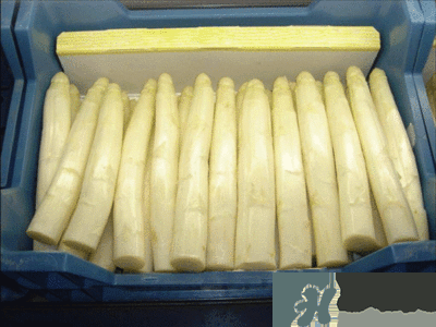 吃蘆筍注意事項有哪些？蘆筍有什么藥用功效？