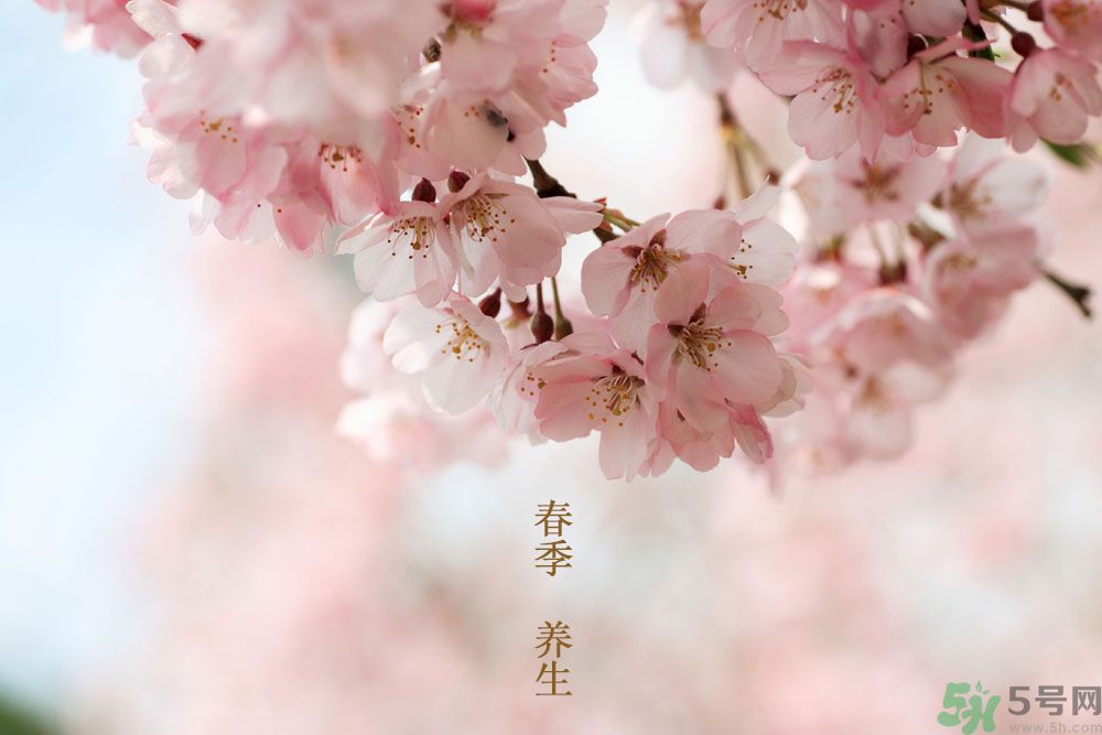 女性春季養(yǎng)生吃什么？女性春季怎么養(yǎng)生？