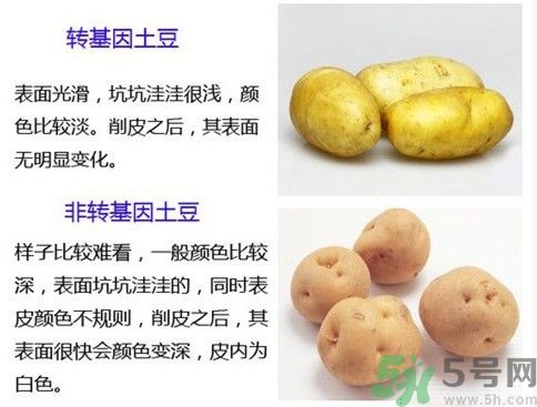 土豆變綠還能吃嗎？土豆變綠有什么危害？
