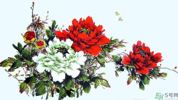 牡丹的花語(yǔ)是什么？牡丹的寓意是什么？