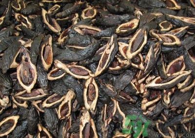 吃檳榔會(huì)致癌嗎？吃檳榔好不好？
