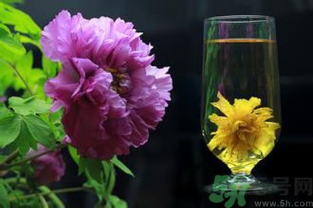 牡丹花可以和菊花一起泡嗎？牡丹花和菊花一起泡茶好嗎？