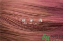 九大色系染發(fā)要怎么選擇？九大色系染發(fā)有什么要求？