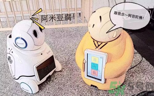 機器僧哪里可以買到？機器僧多少錢？