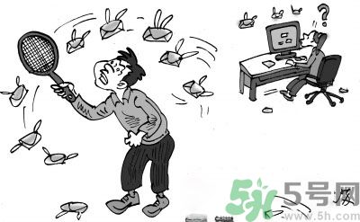 1分鐘被騙334萬(wàn) 釣魚(yú)郵件內(nèi)容是什么？