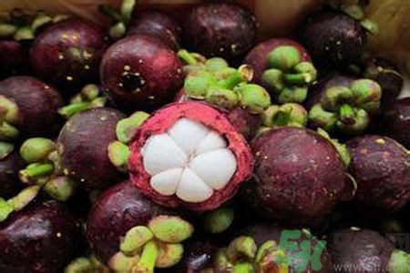 山竹可以和牛奶一起吃嗎？山竹和牛奶一起吃好嗎？