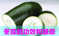 冬瓜蜜餞的做法 冬瓜蜜餞一般多少錢(qián)