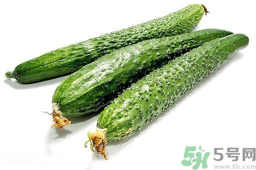 孕婦可以吃生黃瓜嗎？孕婦可以生吃黃瓜嗎？