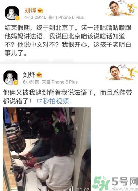 諾一雪梨是誰？為什么叫諾一雪梨？