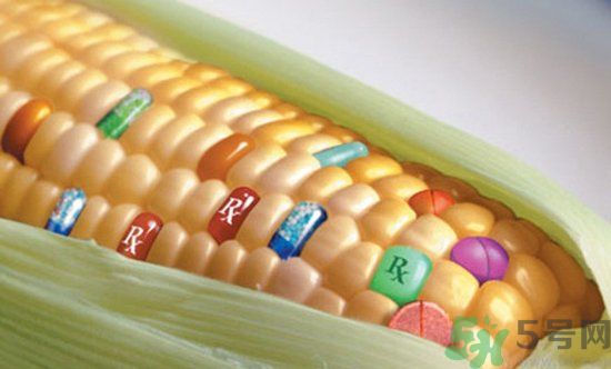 農(nóng)業(yè)部怎樣回應(yīng)轉(zhuǎn)基因食品？轉(zhuǎn)基因的食物有哪些？